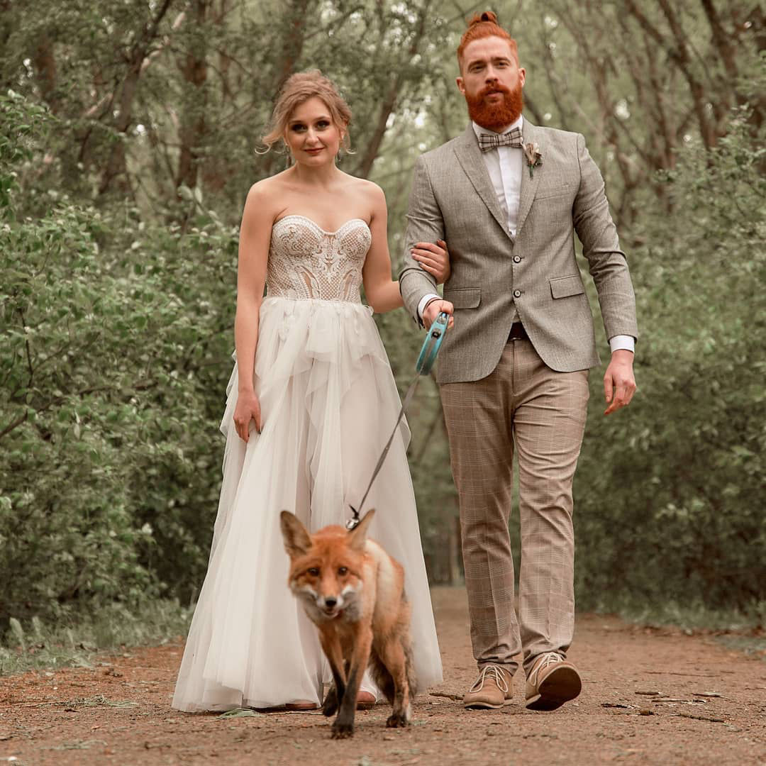 фотосессия с лисой