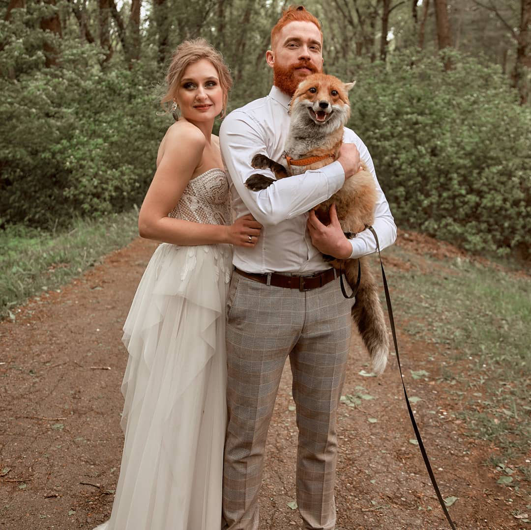 фотосессия с лисой