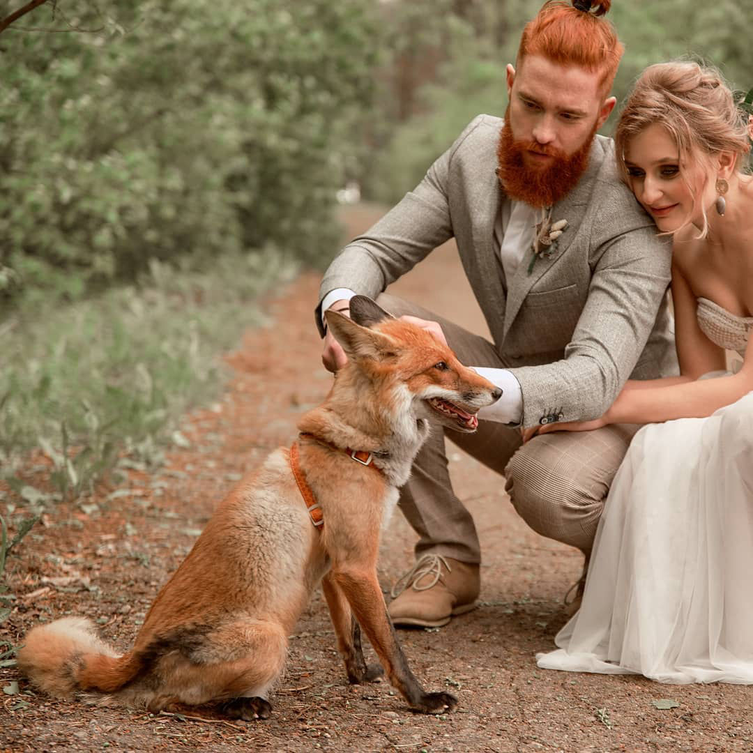 фотосессия с лисой