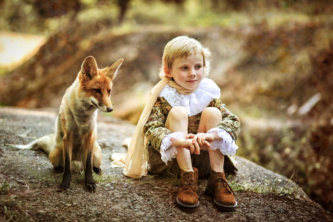 фотосессия с лисой