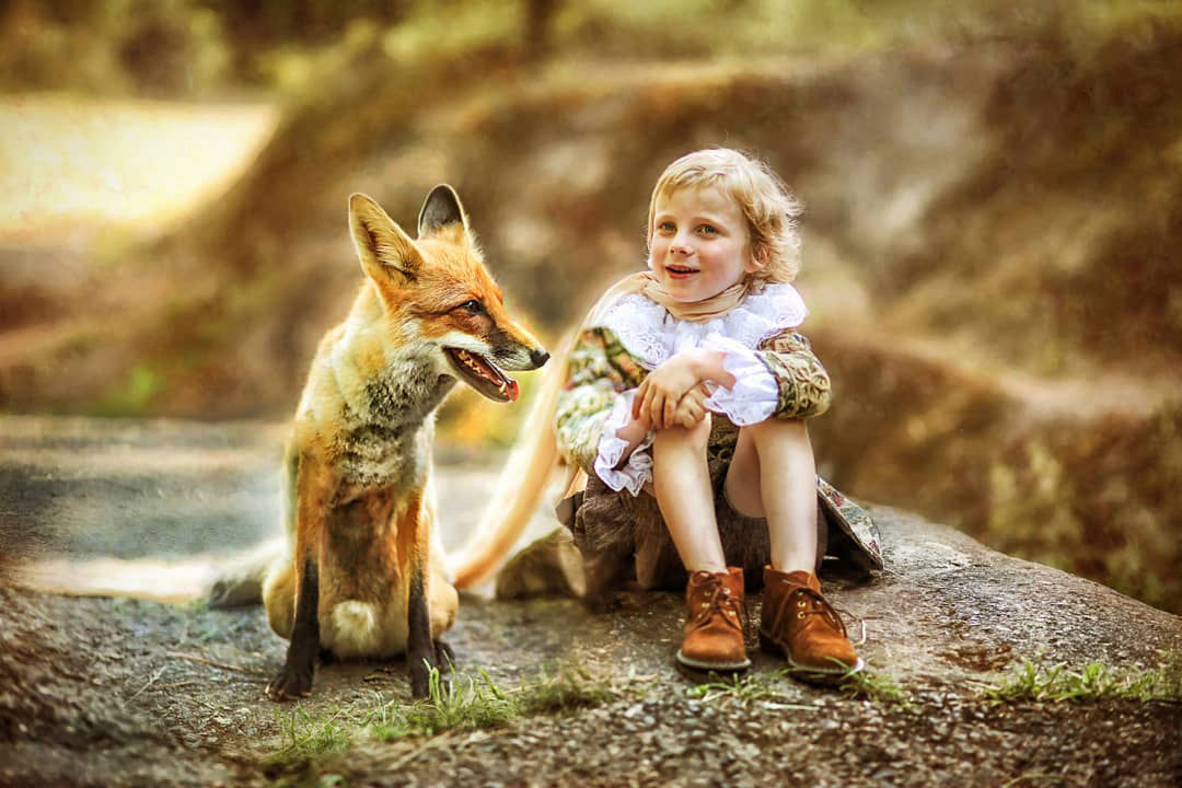фотосессия с лисой