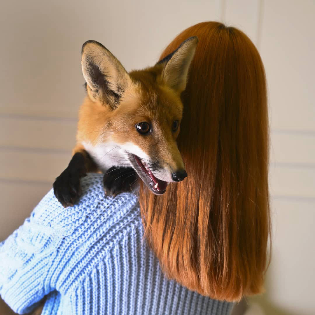 фотосессия с лисой