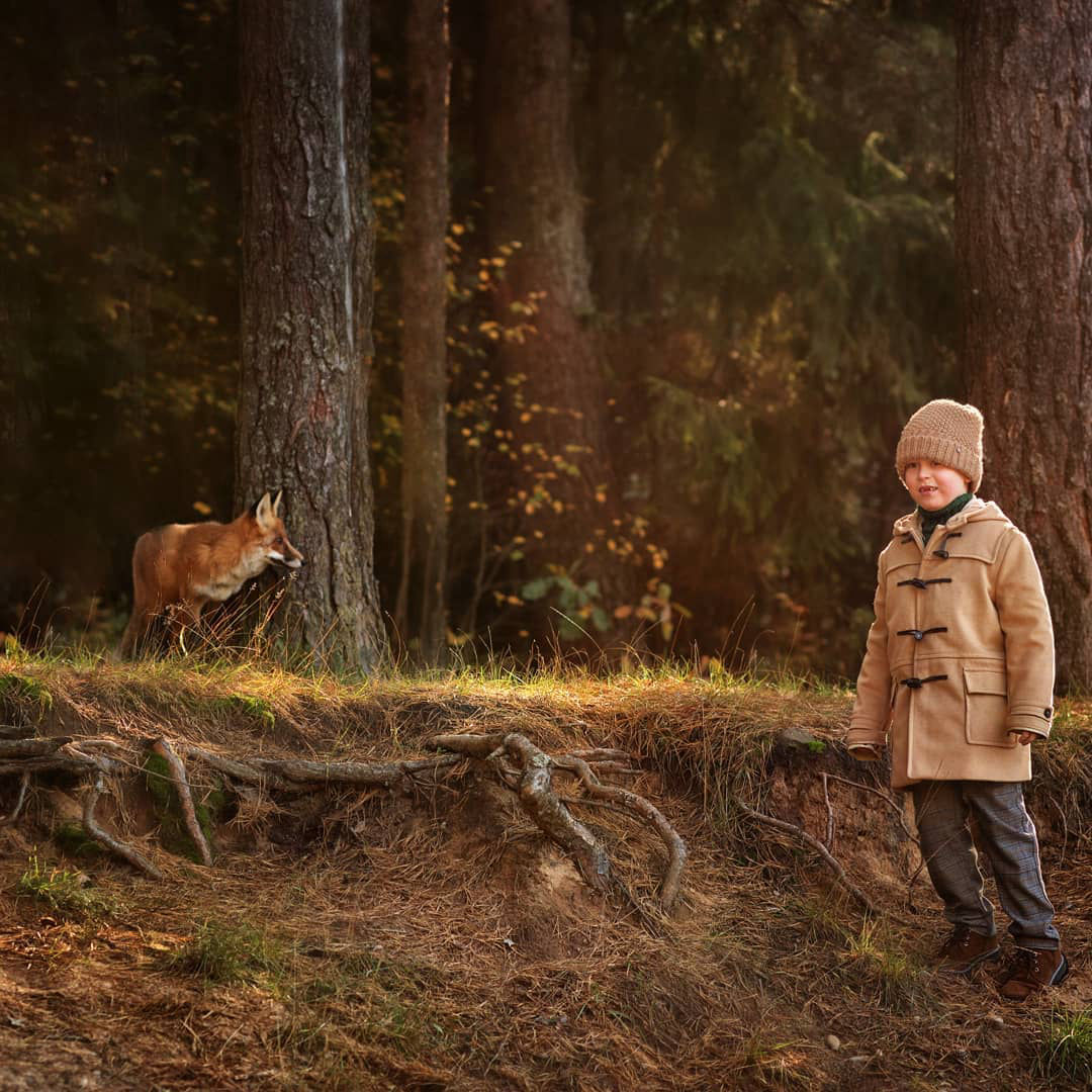 фотосессия с лисой