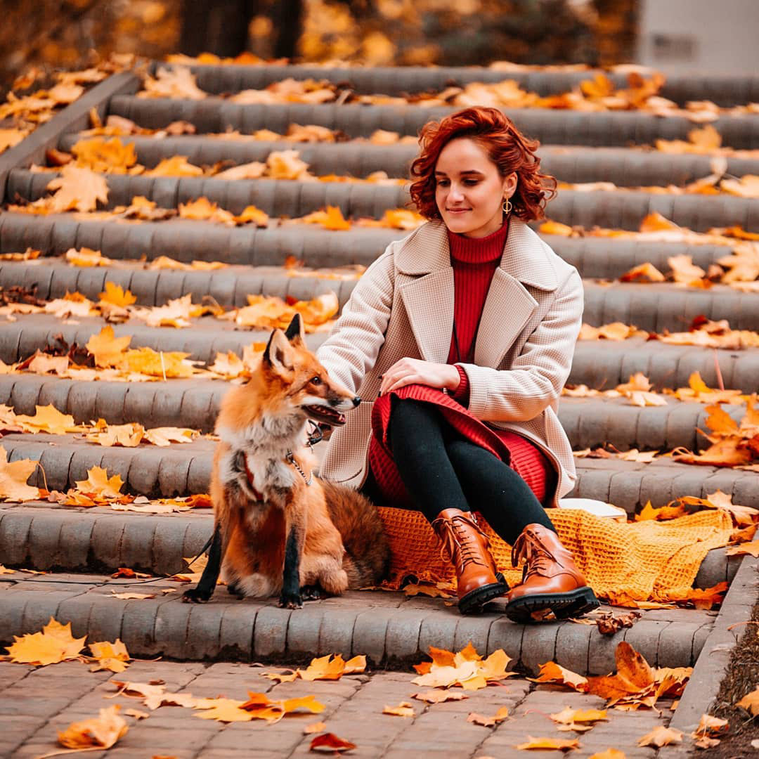 фотосессия с лисой