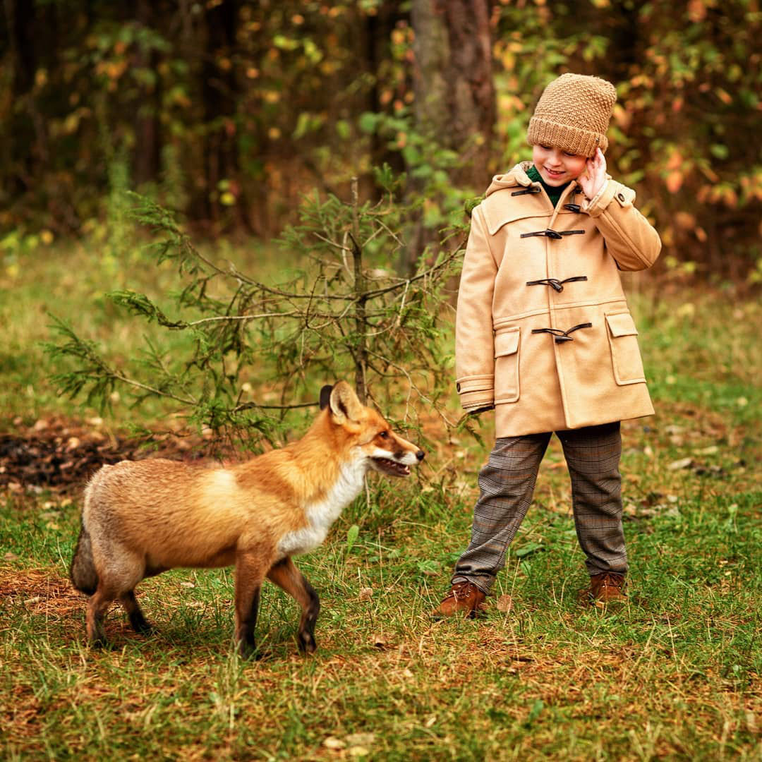 фотосессия с лисой
